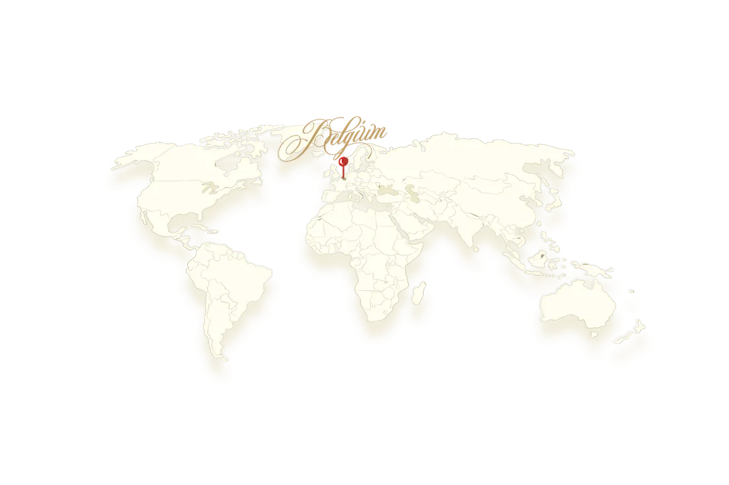 Belgium in the world